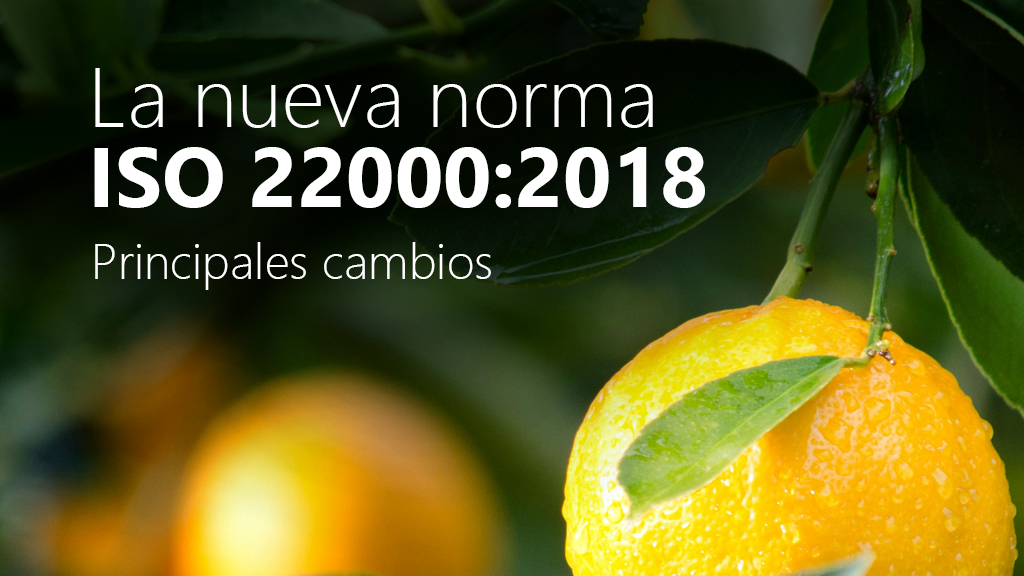 Curso de La nueva Norma ISO 22000:2018 (ADGD365PO)
