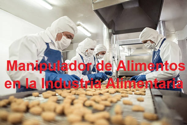 Curso de Manipulador Alimentos Industria Alimentaria