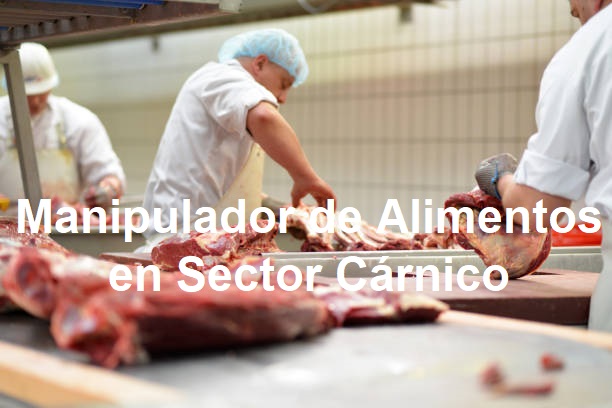 Curso de Manipulador Alimentos Sector Cárnico