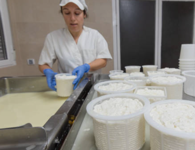 Curso de Manipulador de Alimentos Lácteos y Derivado