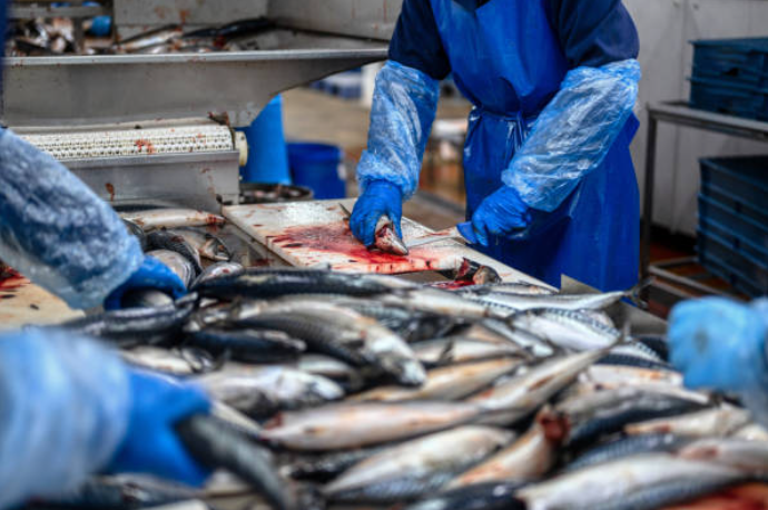 Curso de Manipulador de Alimentos Pescados y Derivados