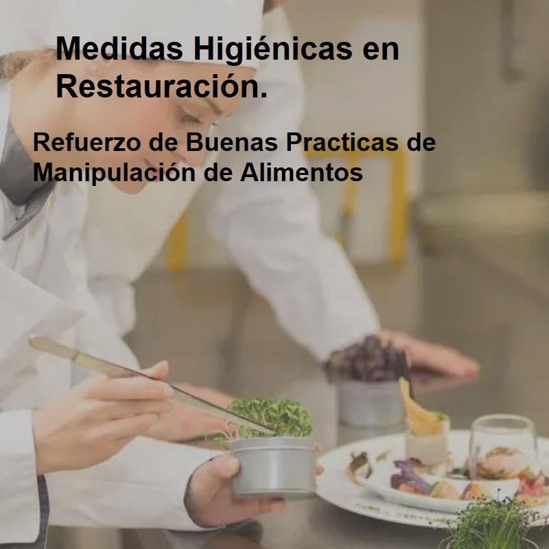 Curso de Medidas Higiénicas Buenas Practicas Manipulacion